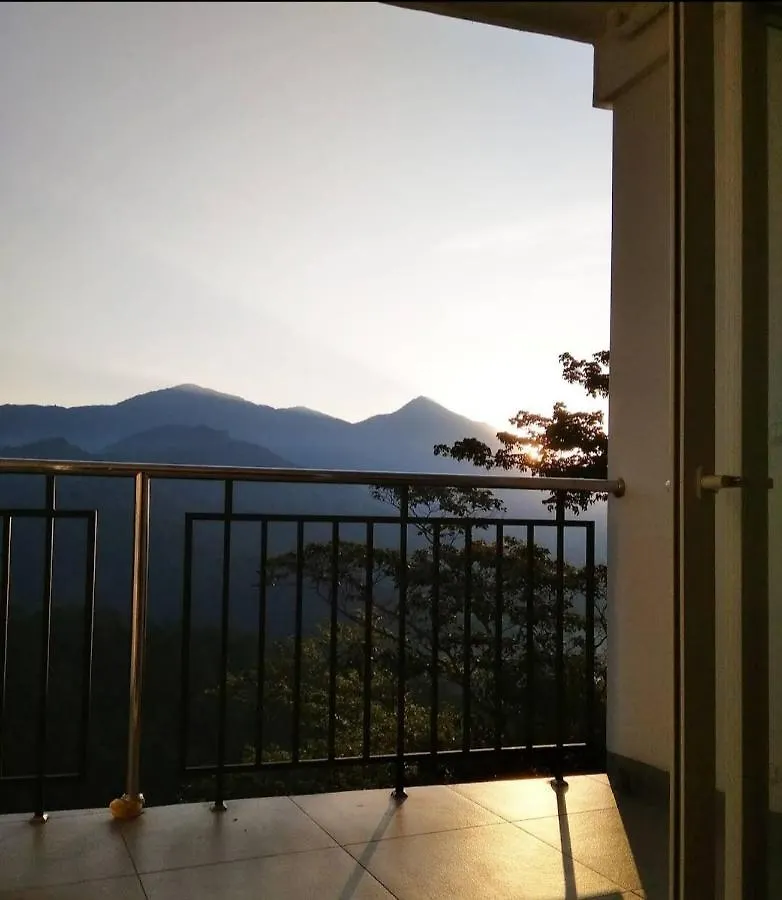 Hotel Palmtree Leaf, Munnar